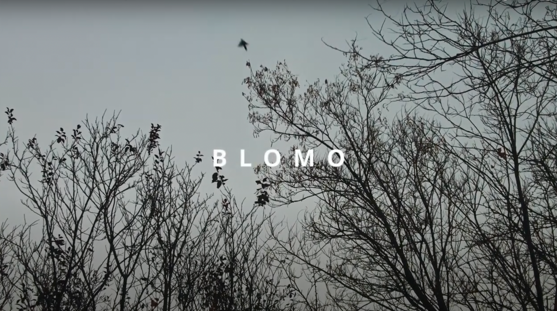 Load video: See the inspiration behind BomGo with Blomo